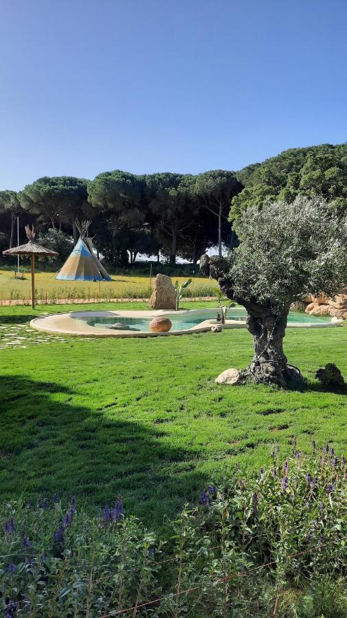 וחר דה לה פרונטרה El Oasis De Anayansi Cabanas Con Encanto מראה חיצוני תמונה